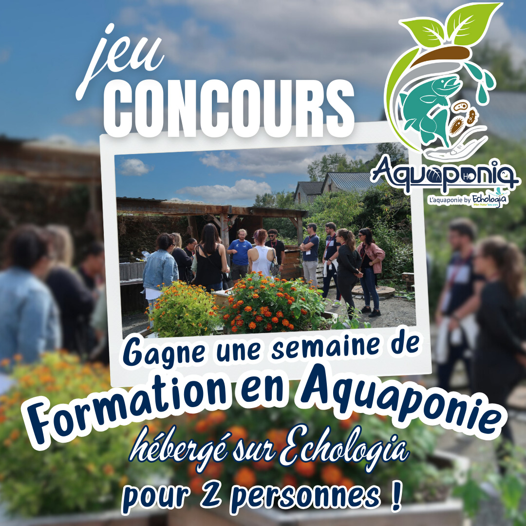 Tomboloa gros lot Salon de l aquaponie 2024 ECHOLOGIA AQUAPONIA