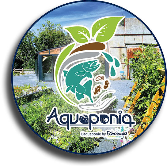 Aquaponia sur Echologia